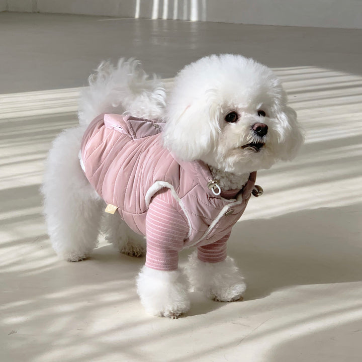 ※予約販売【DURANG RURANG】Teddy Bear Basic T（6color）