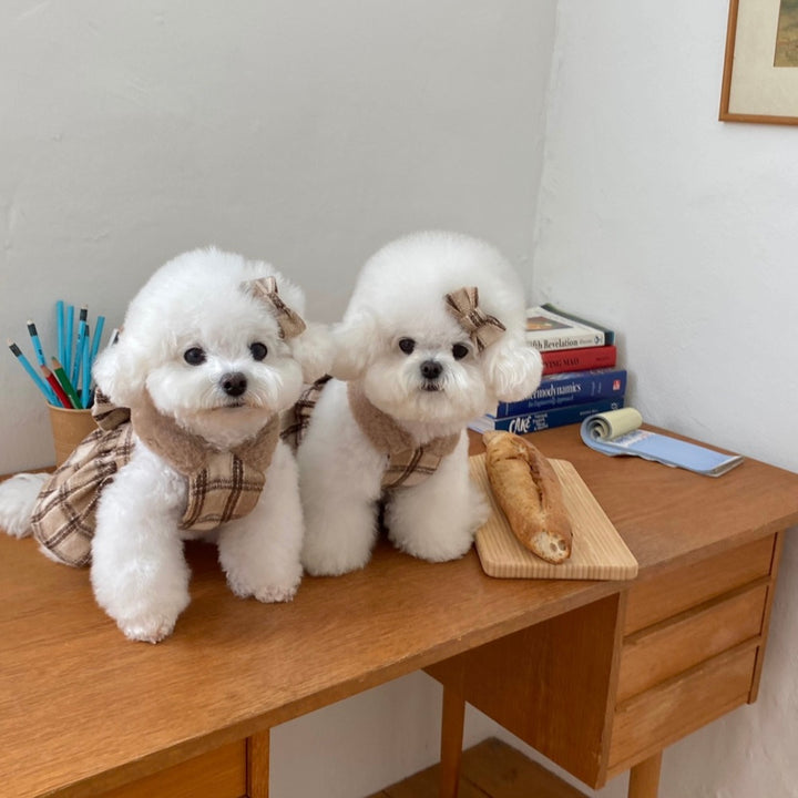 ※予約販売【Hi Yeboo】Amelie Ribbon Collection（Brown）