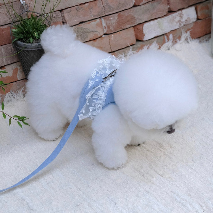 即納【BeBe Breath】Essential Harness（Denim）Leash Set｜犬用ハーネス