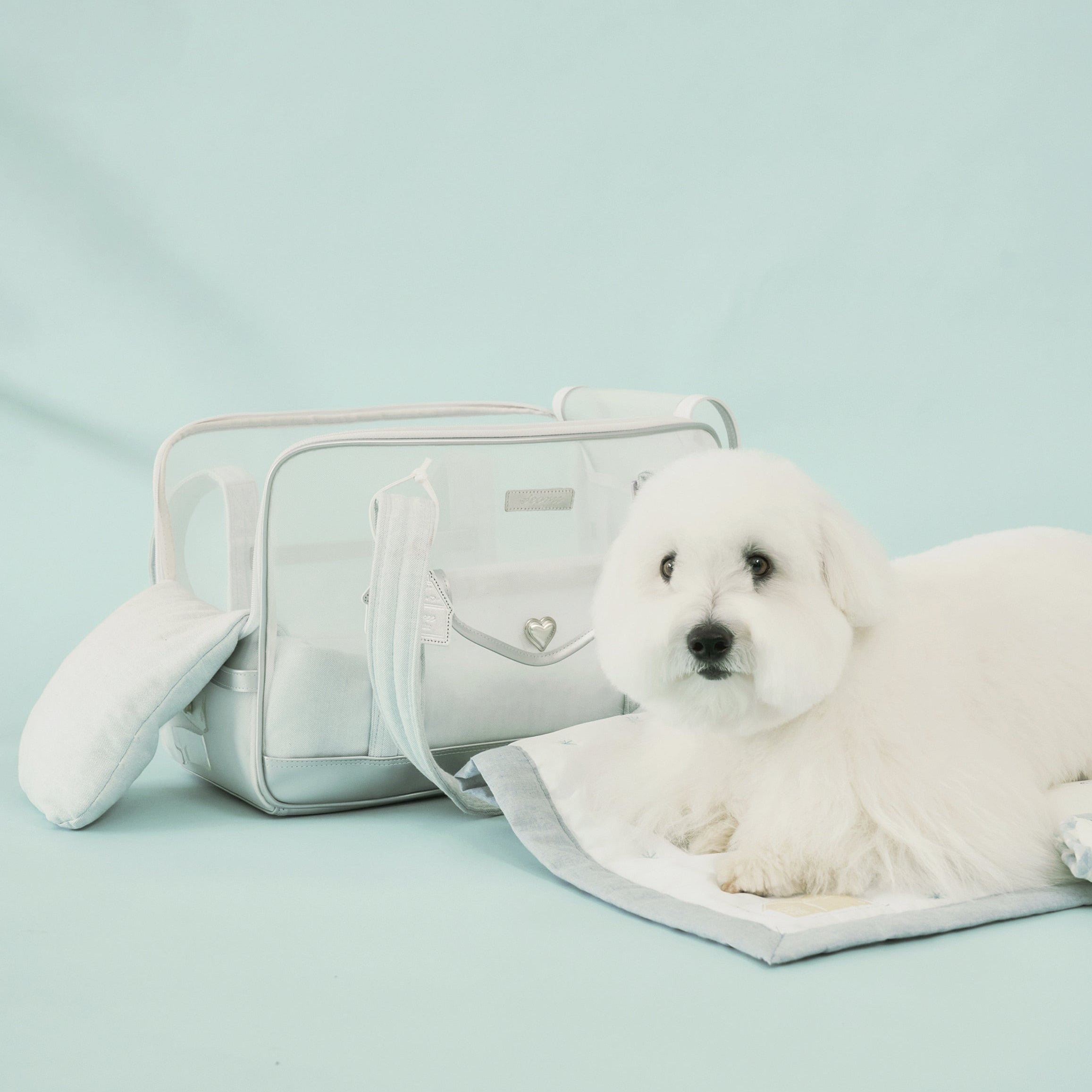海外犬服 高品質なインポートのドッグウェア通販 