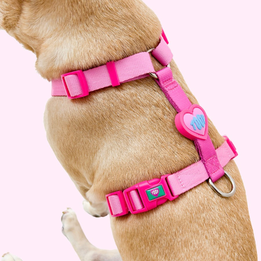 海外犬服 高品質なインポートのドッグウェア通販 