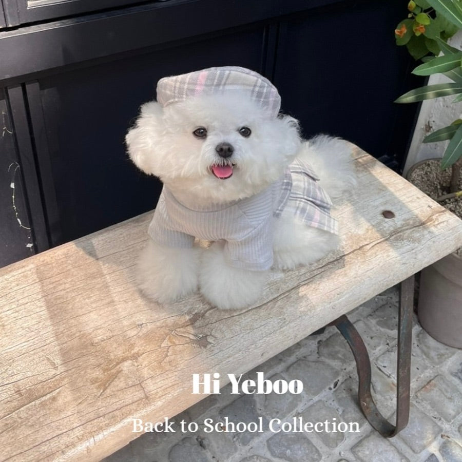 ※予約販売【Hi Yeboo】Back to School ACC