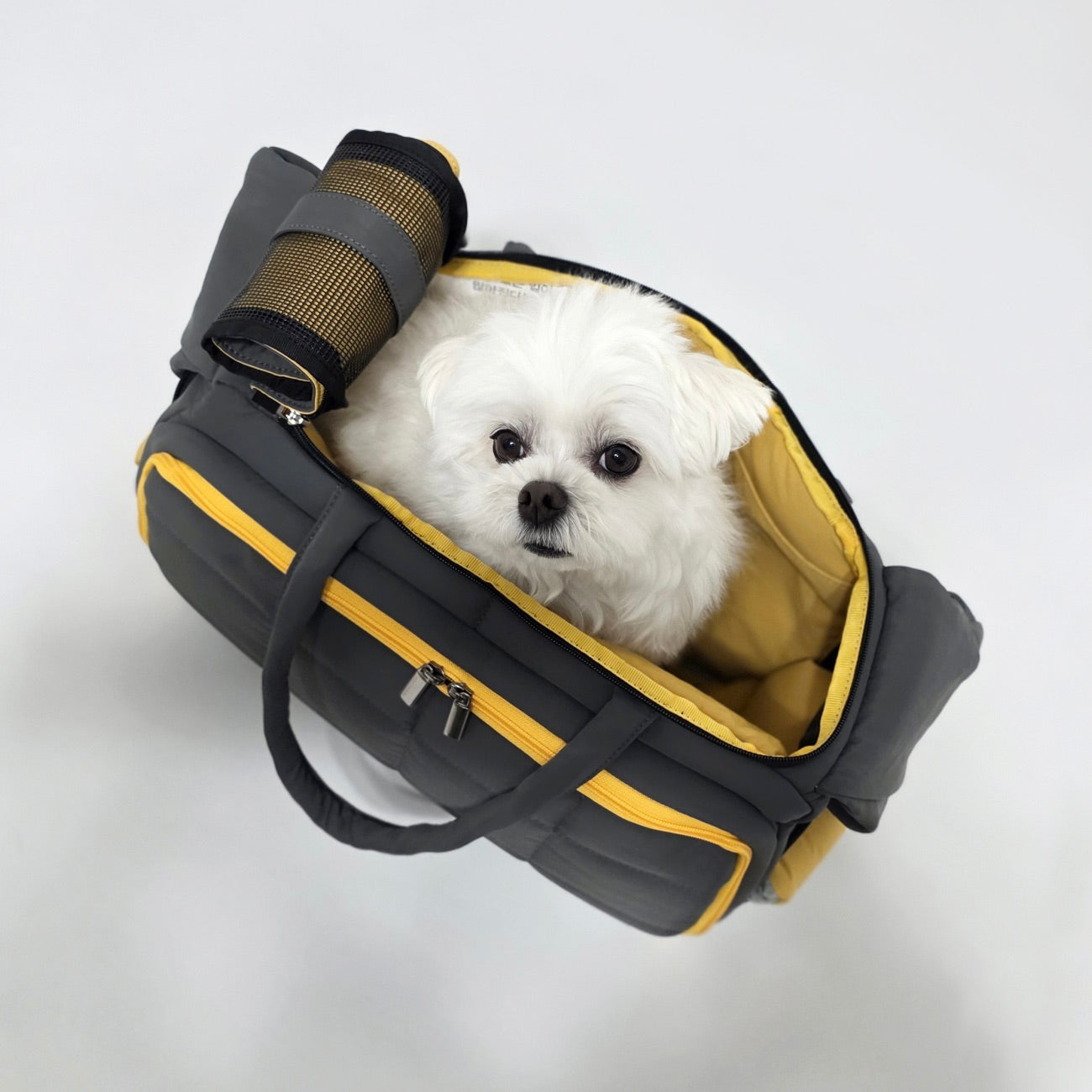 【INSIDD DOG&CAT】犬用スリングキャリーバッグ グレー/イエロー 海外犬服 高品質なインポートのドッグウェア通販 