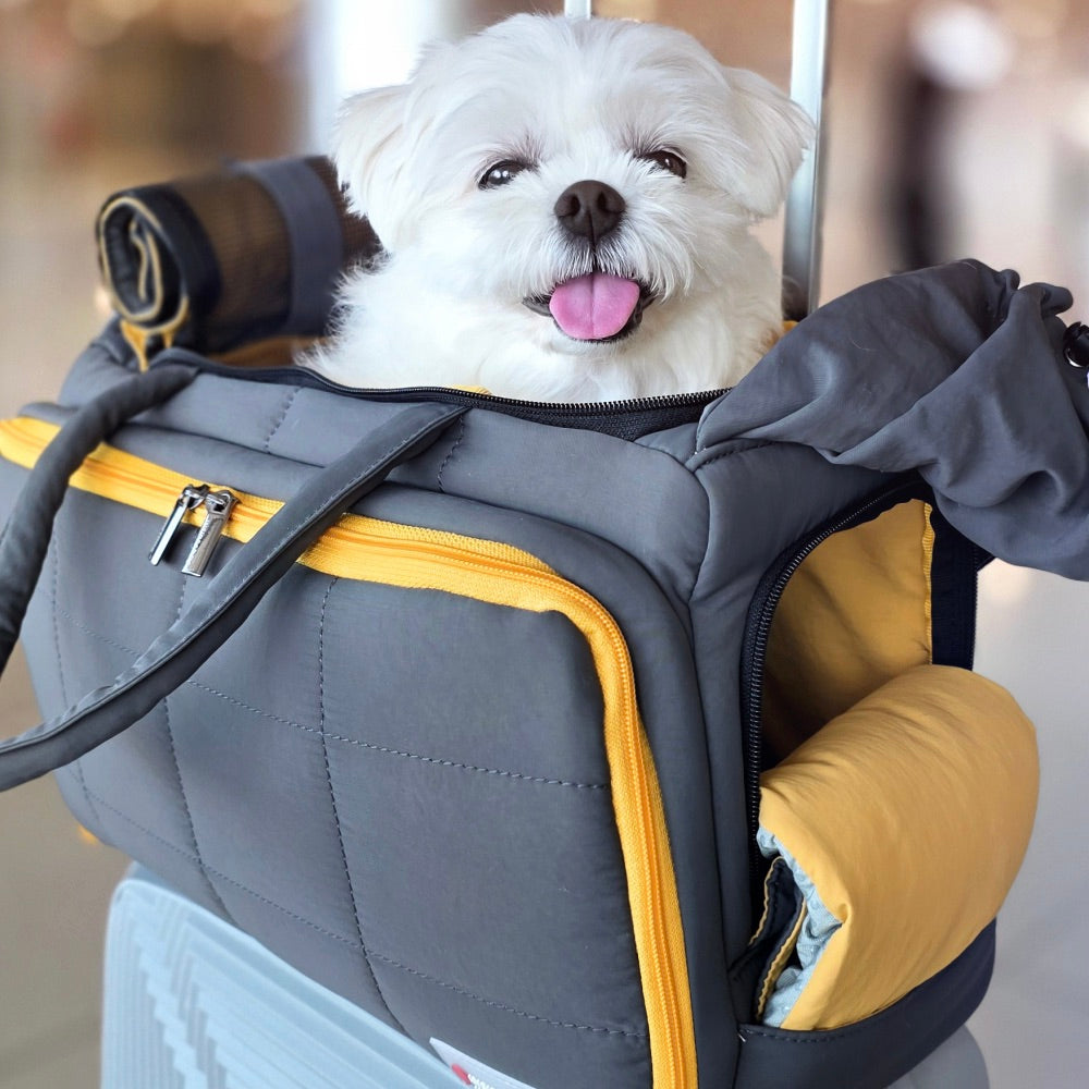 海外犬服 高品質なインポートのドッグウェア通販 