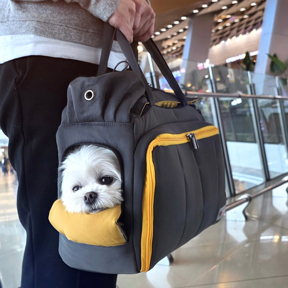 海外犬服 高品質なインポートのドッグウェア通販 
