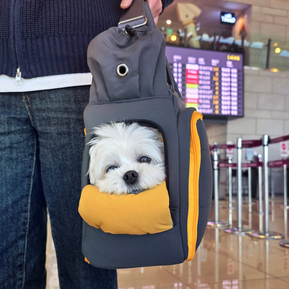 海外犬服 高品質なインポートのドッグウェア通販 