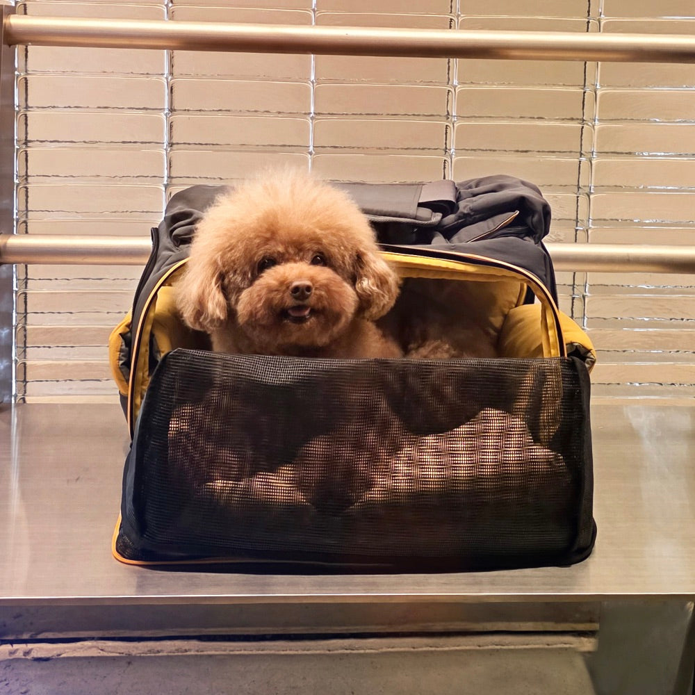 海外犬服 高品質なインポートのドッグウェア通販 