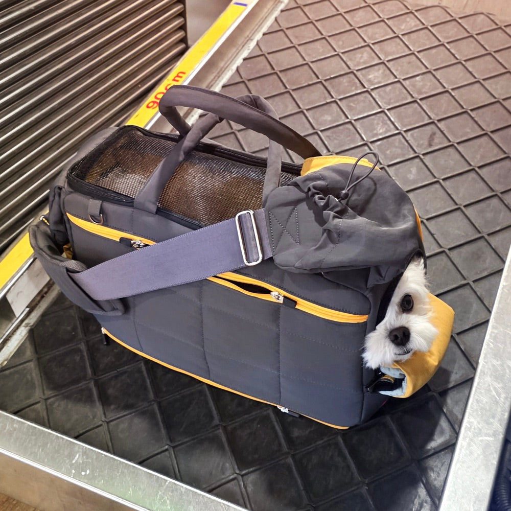 海外犬服 高品質なインポートのドッグウェア通販 