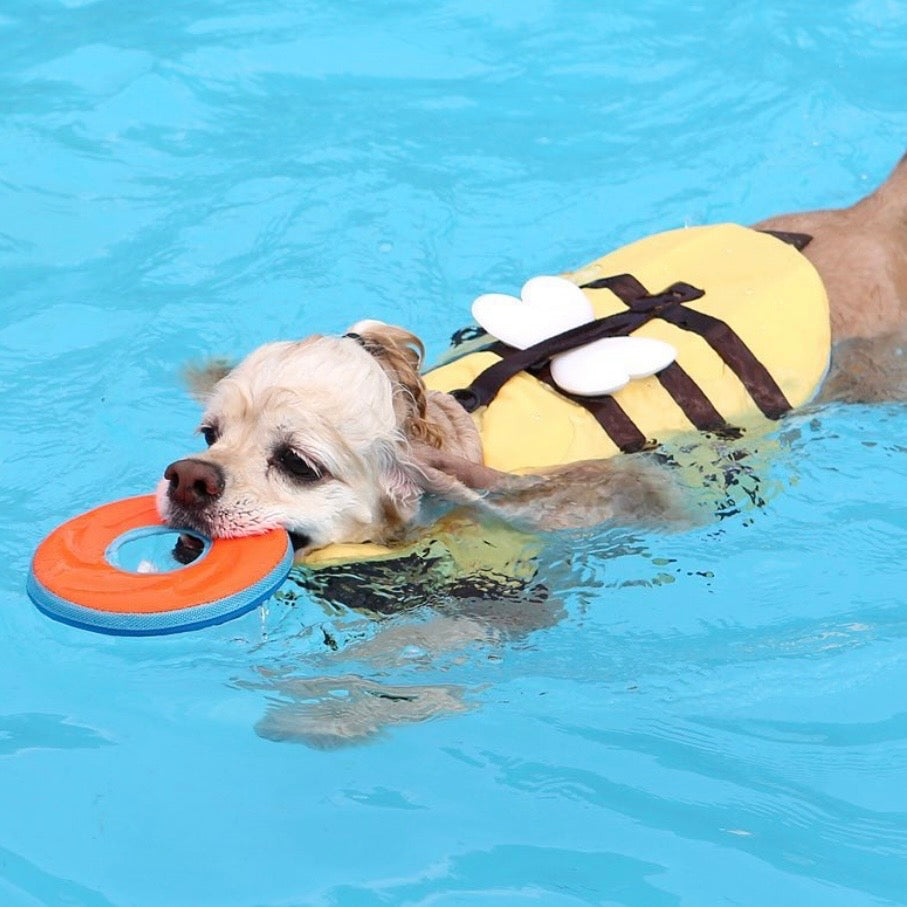 即納【ITS DOG】Honeybee Life Jacket