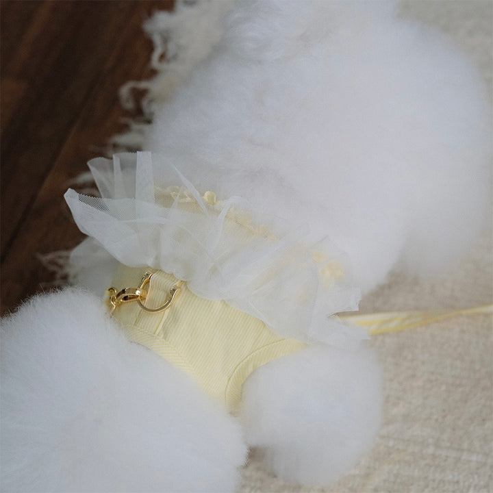 即納【BeBe Breath】Essential Harness（Yellow）Leash Set｜犬用ハーネス