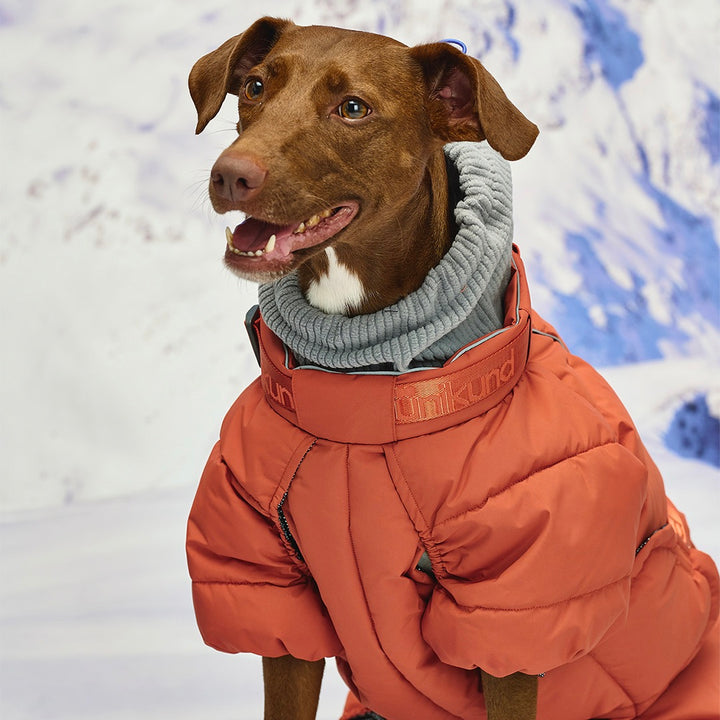 ※予約販売【munikund】Thermal Up Padding Air 2 Overall -（Clay Brick）