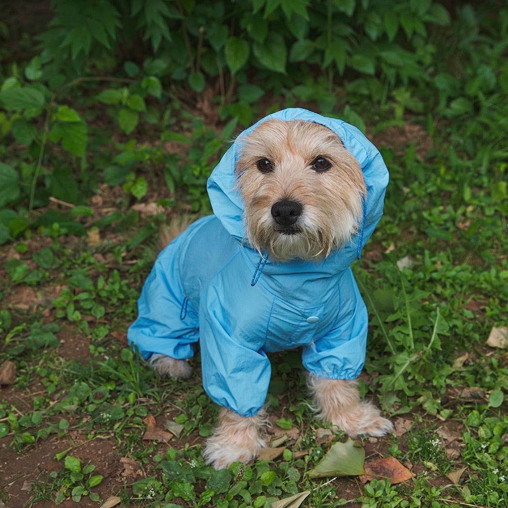 即納【noonoosoom】Rain shuit（Blue）
