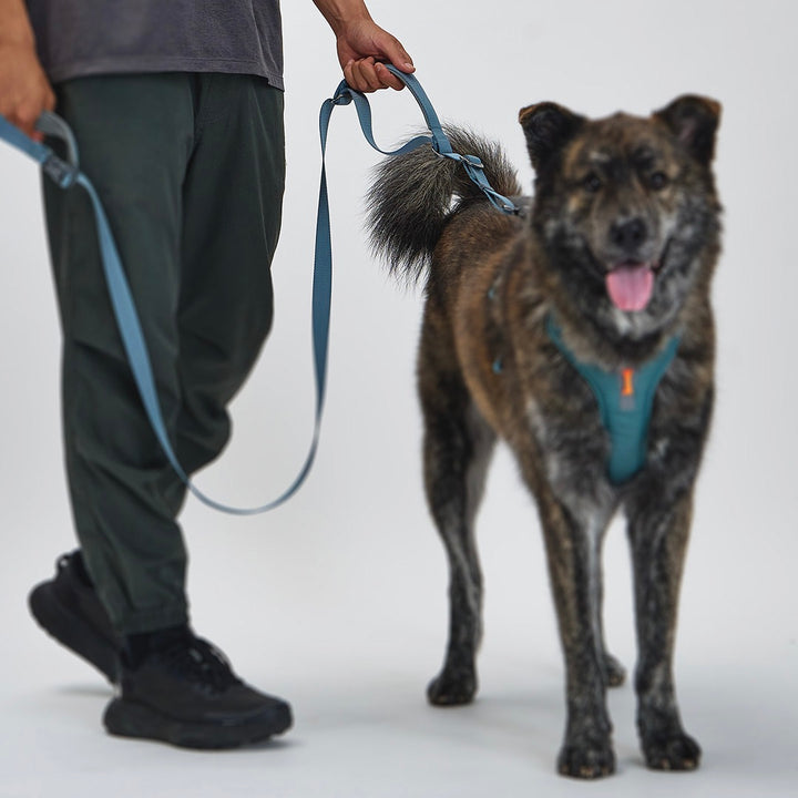 ※予約販売【munikund】REKTAIL Leash Hyper - Khaki（25mm/1.8M）
