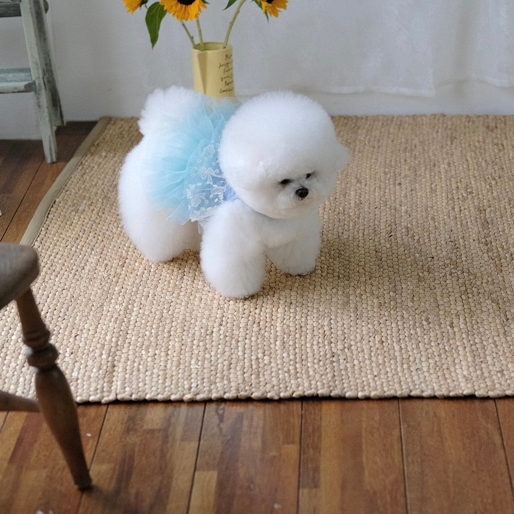 即納【BeBe Breath】Essential Harness（Denim）Leash Set｜犬用ハーネス