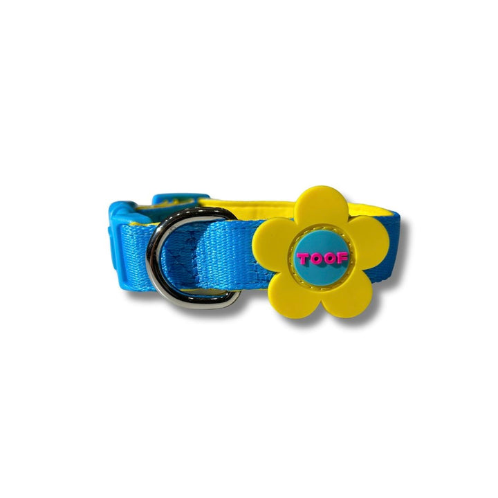 即納【TOOF】FLOWER LOGO NECK COLLAR（BLUE/YELLOW）