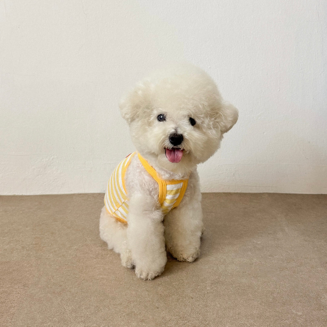 ※予約販売【CRR】Marine Stripe Strap Top（Yellow）