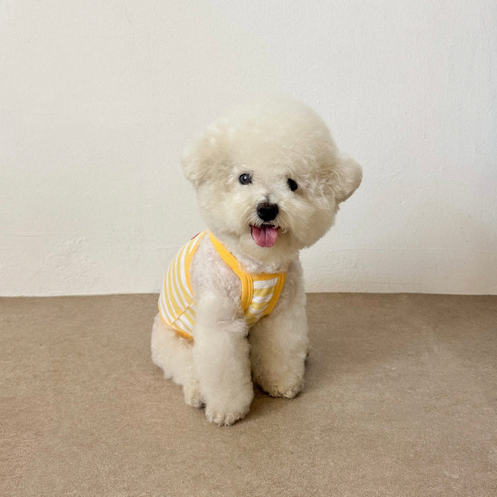 ※予約販売【CRR】Marine Stripe Strap Top（Yellow）