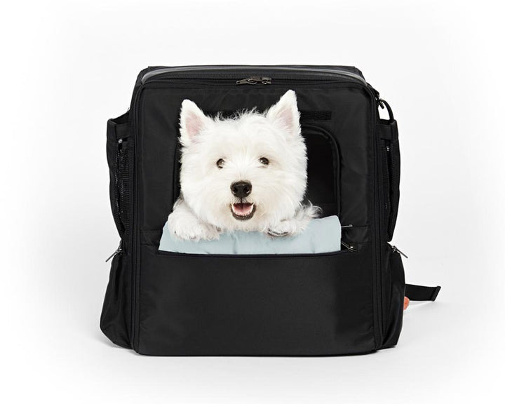 ※予約販売【INSIDE DOG & CAT】Travel Bag Cushion Backpack（グレー×ブラック）