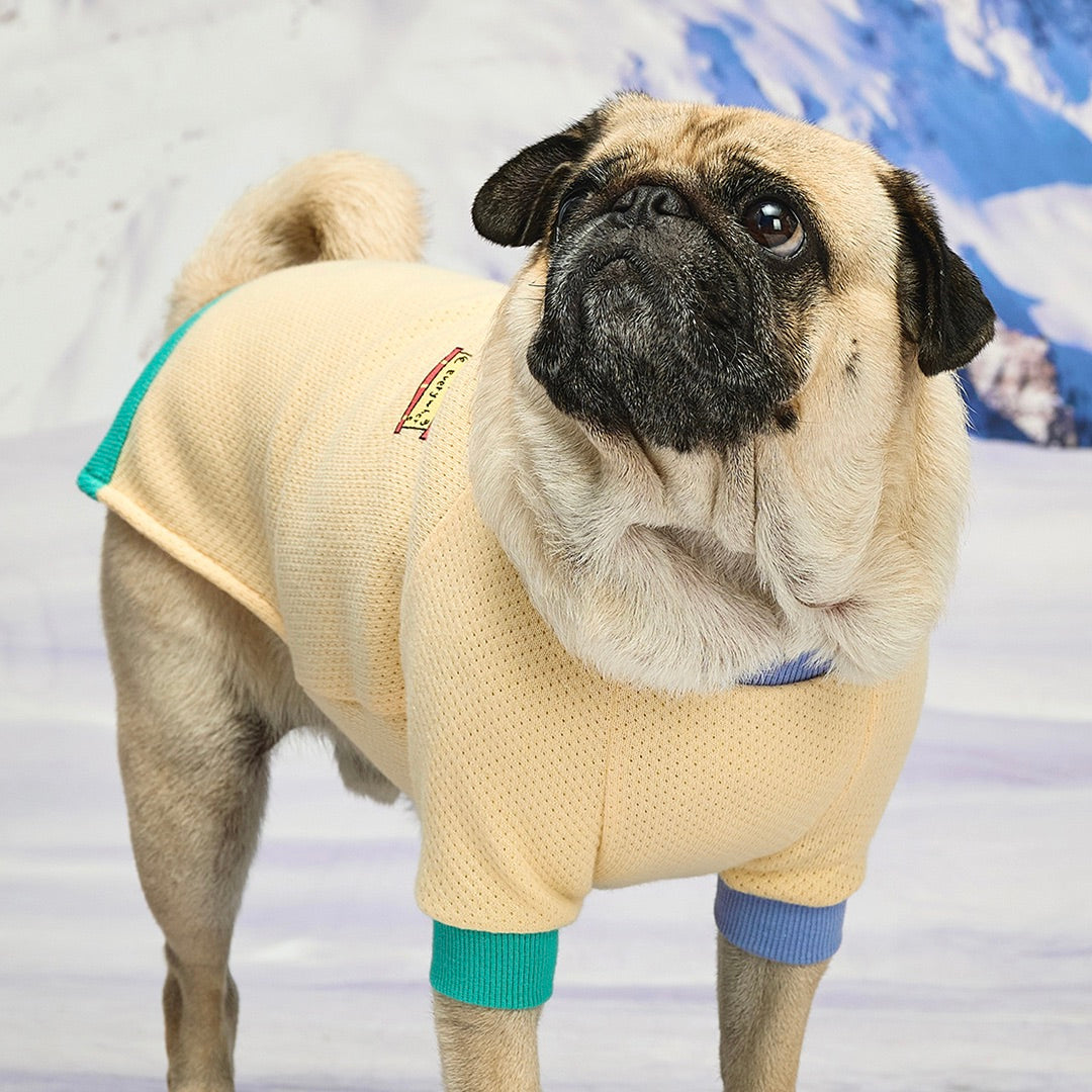 ※予約販売【munikund】Wuff Pullover（Yellow）