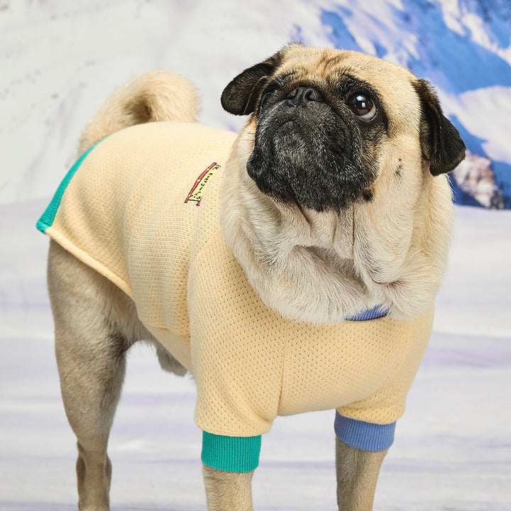 ※予約販売【munikund】Wuff Pullover（Yellow）