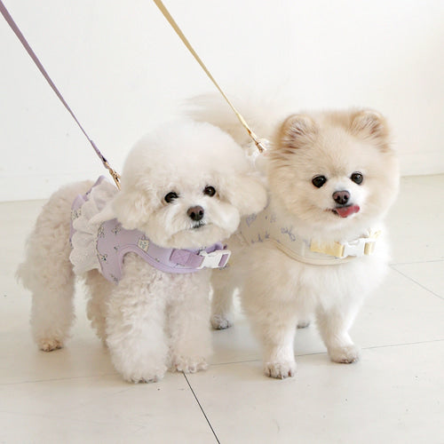 ※予約販売【ITS DOG】Petit Mignon Soft Lead