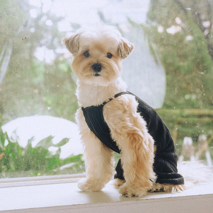 即納【noonoosoom】Twinkle wrinkle all in one（Black）