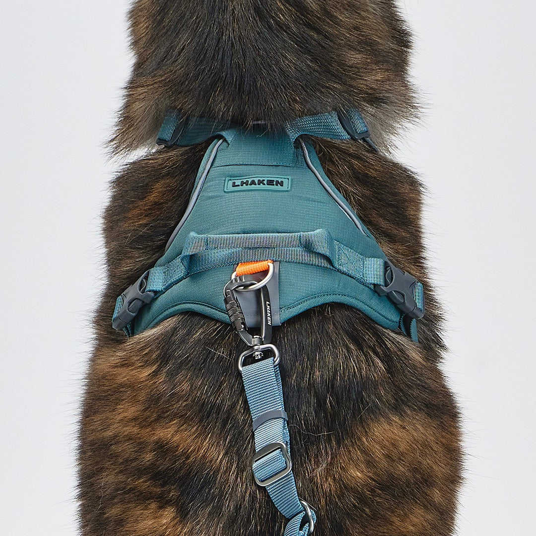 ※予約販売【munikund】REKTAIL Leash Hyper - Khaki（25mm/1.8M）