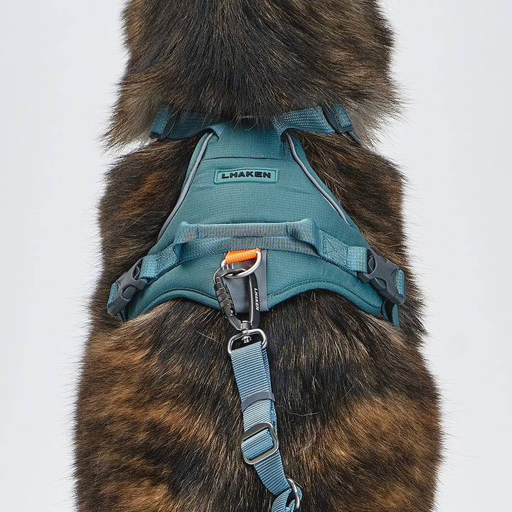 ※予約販売【munikund】REKTAIL Leash Hyper - Khaki（25mm/1.8M）