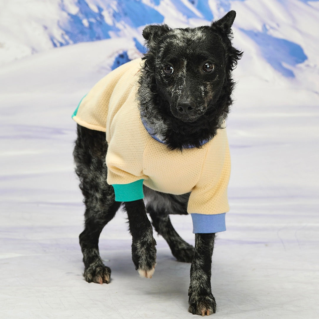 ※予約販売【munikund】Wuff Pullover（Yellow）