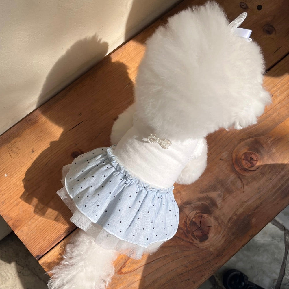 ※予約販売【Hi Yeboo】Dots Tutu（Blue）