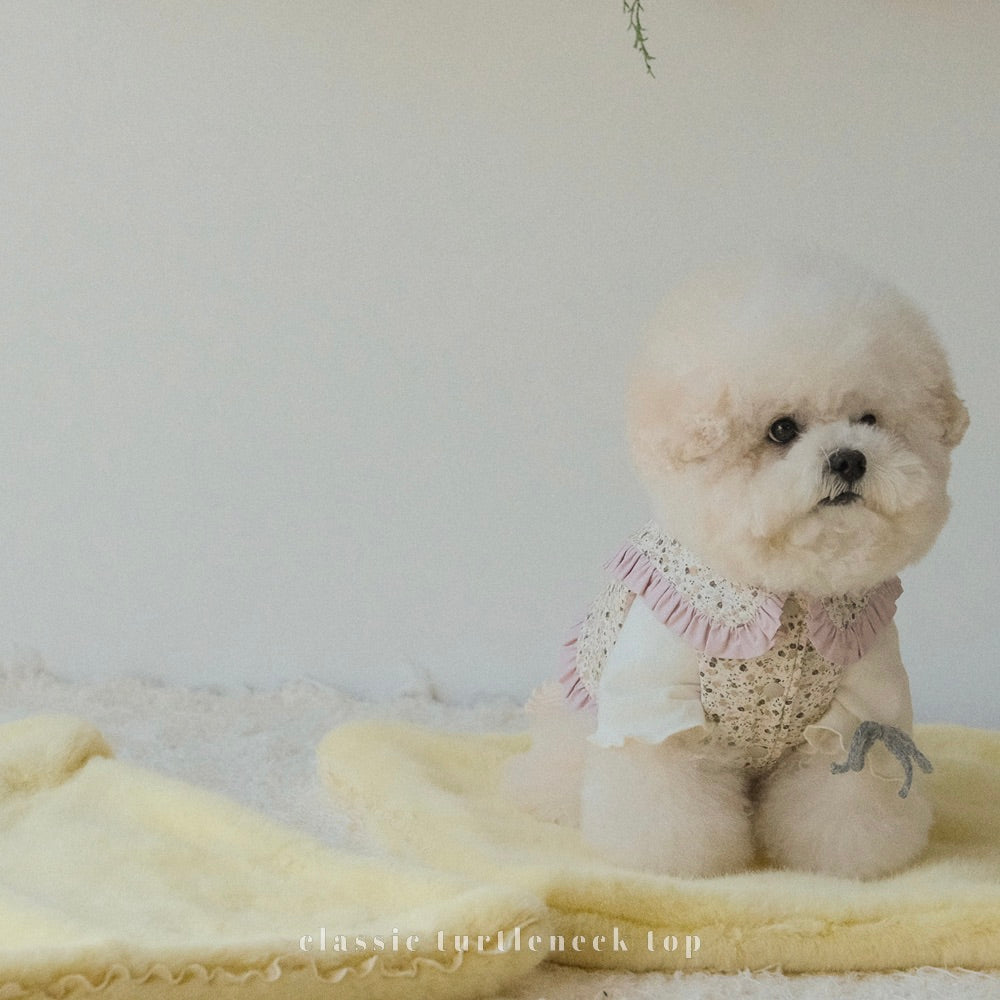 ※予約販売【BeBe Breath】Classic turtleneck top（Cream）