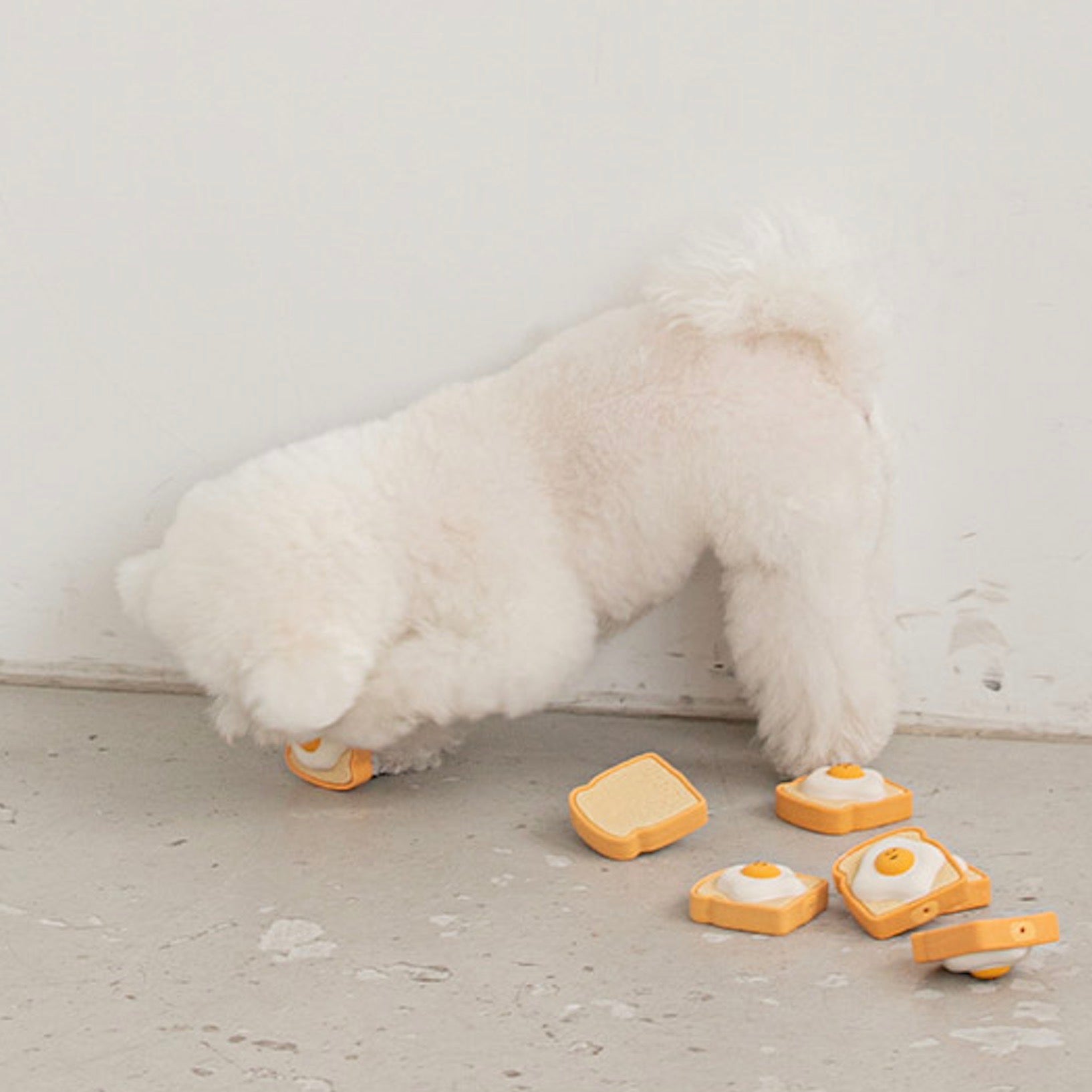 海外犬服 高品質なインポートのドッグウェア通販 