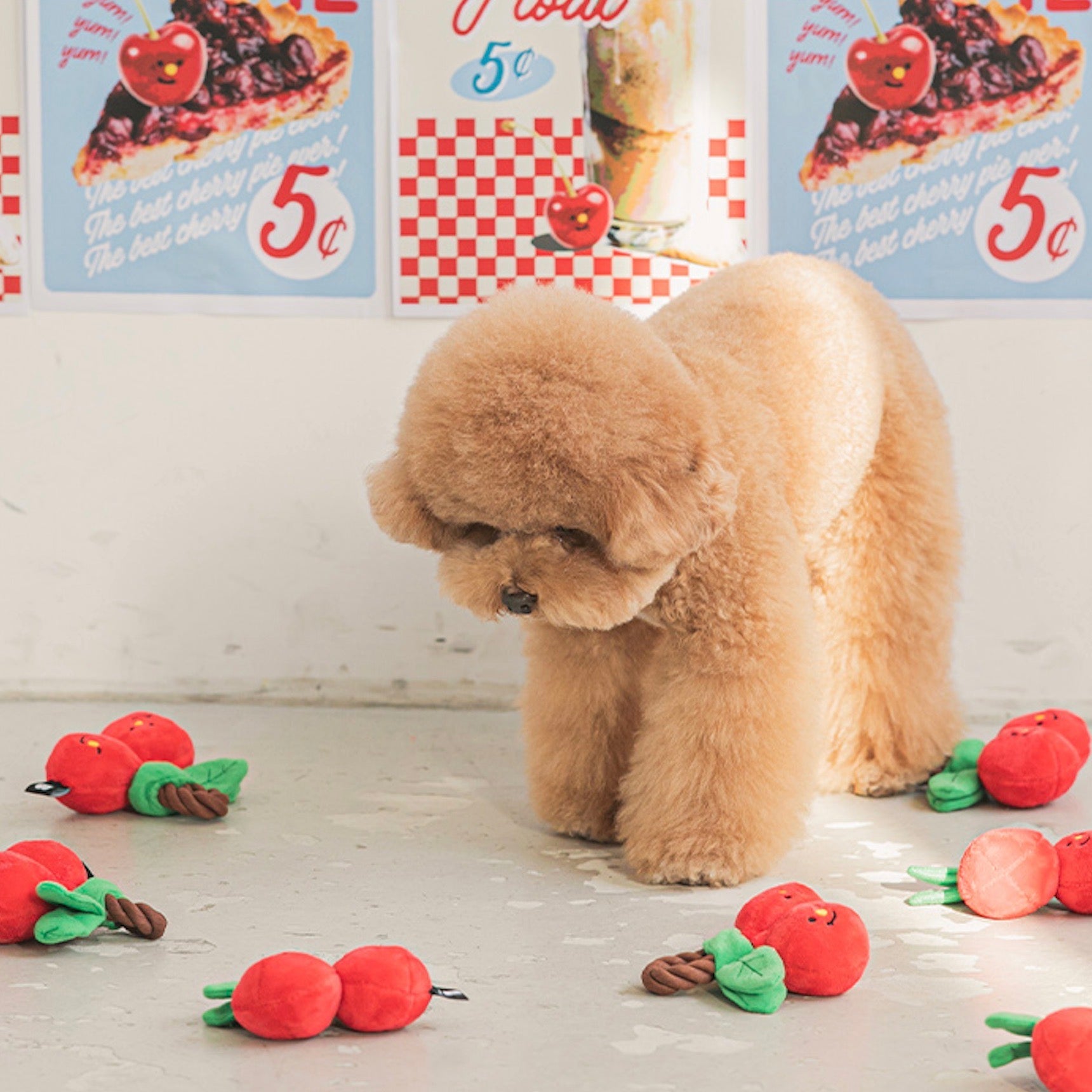 海外犬服 高品質なインポートのドッグウェア通販 