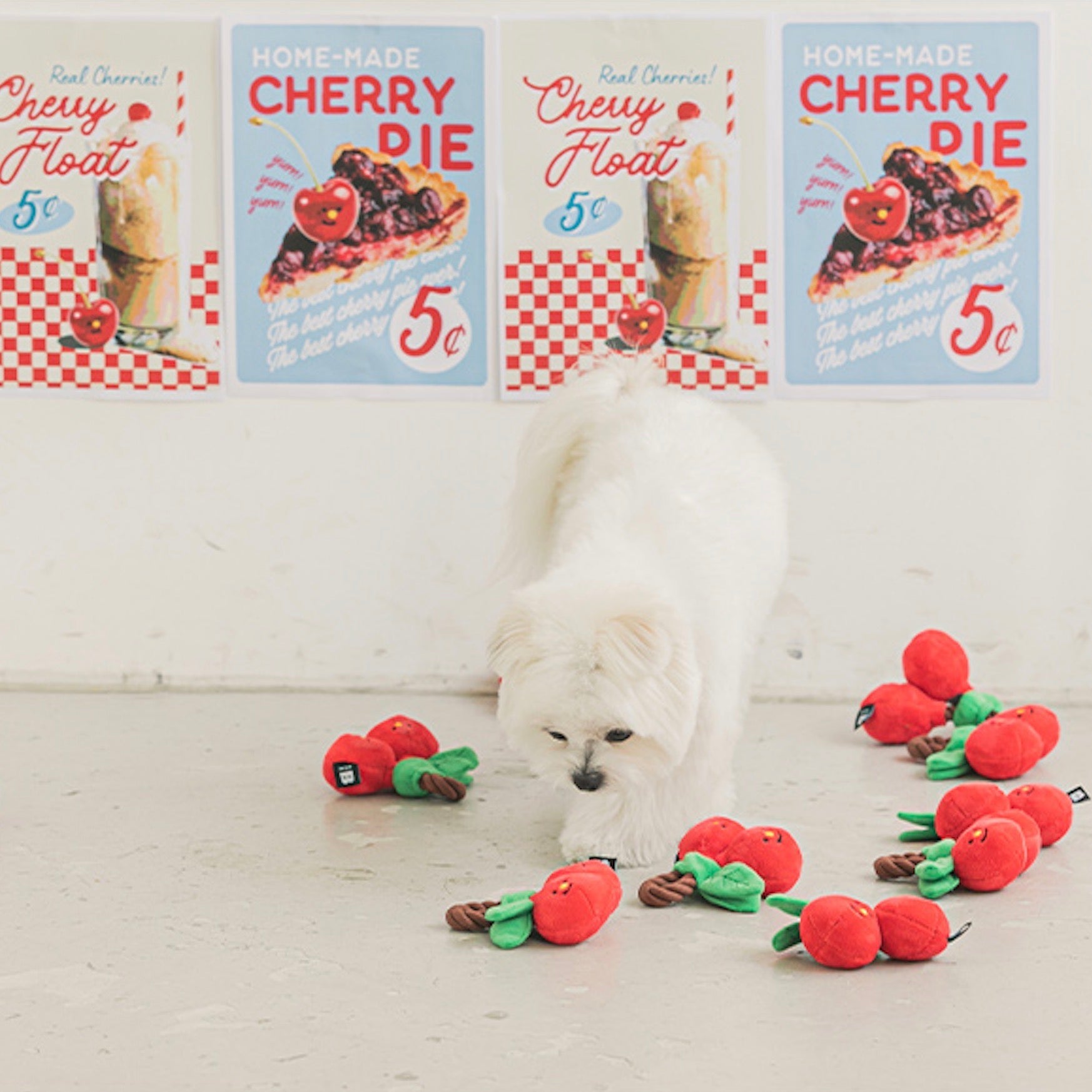 海外犬服 高品質なインポートのドッグウェア通販 