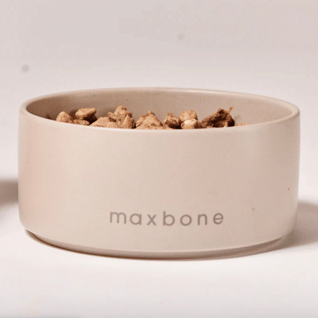 即納【max bone】Classic Ceramic Bowl