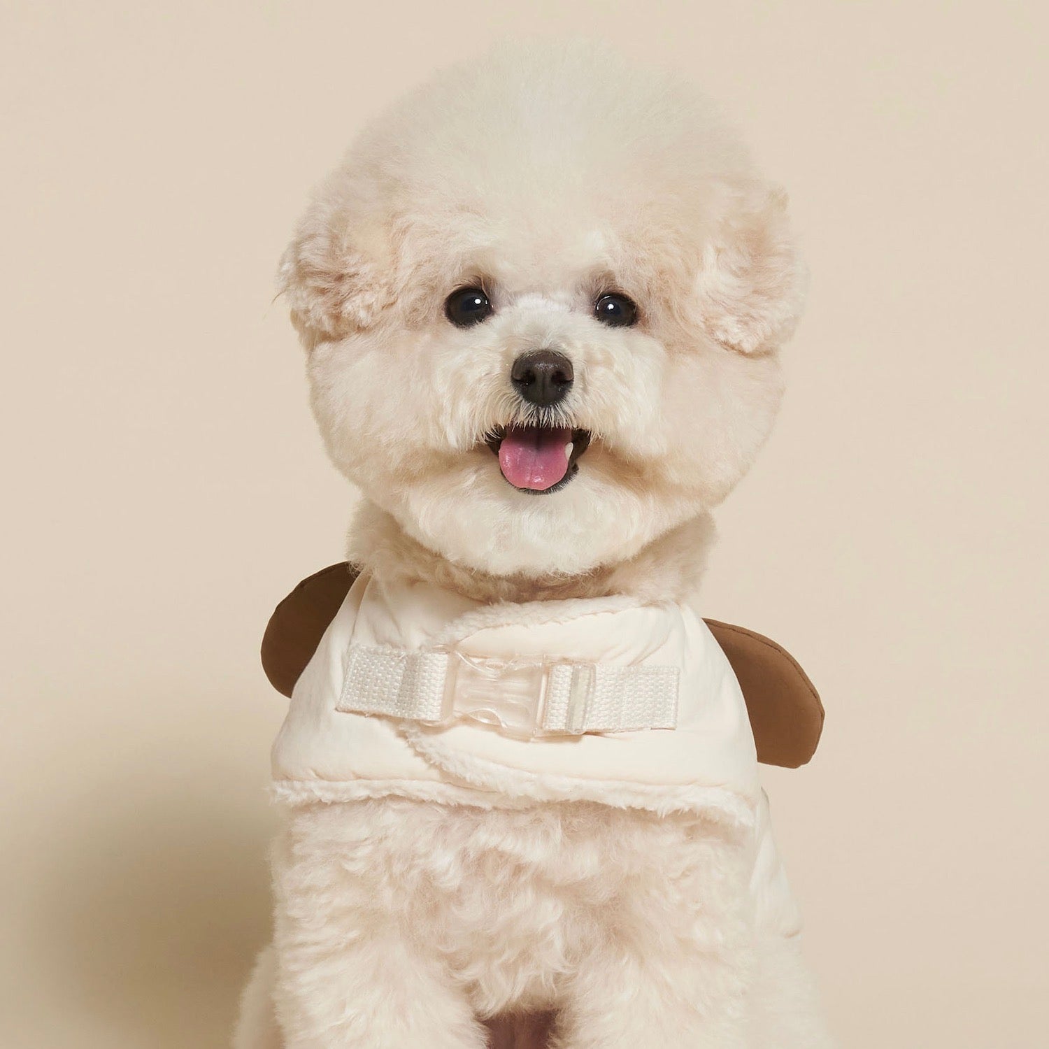 【新品未使用／日本未入荷】セントジェームス 犬服 Mサイズ　万博で大人気 LOVEママパパタンク 3XS/2XS/XS/S/M Solgra Baby-ソルグラベイビー- 犬