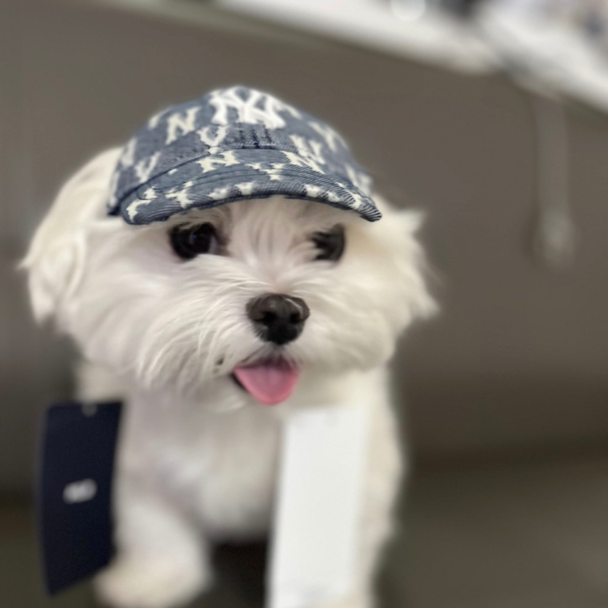 確認用 テリア刺繍 フード付きジャケット 110 ピンク（エイミー