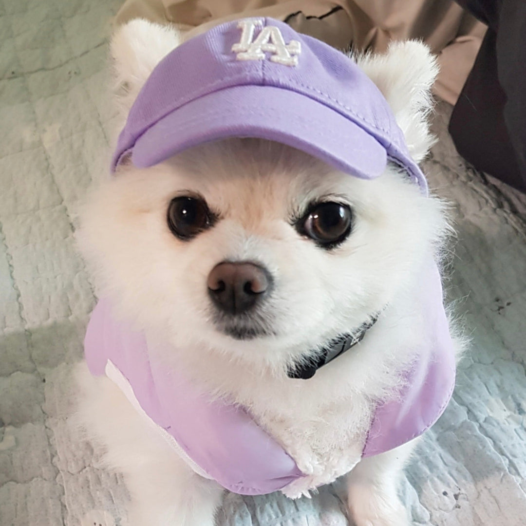 即納【MLB KOREA】MLB Basic Logo Cap（Violet）