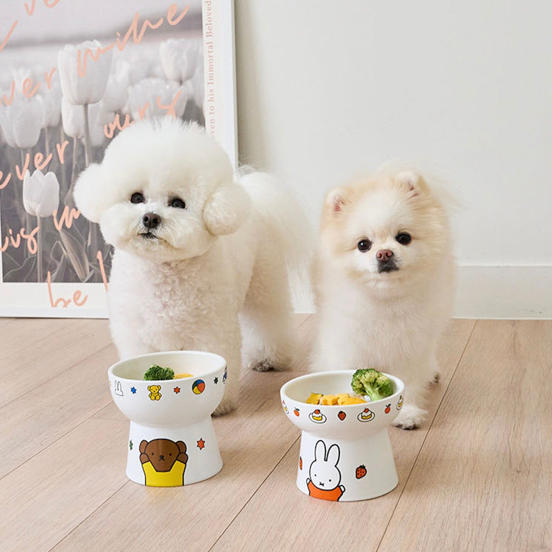 即納【noutti】miffy & boris ceramic bowl
