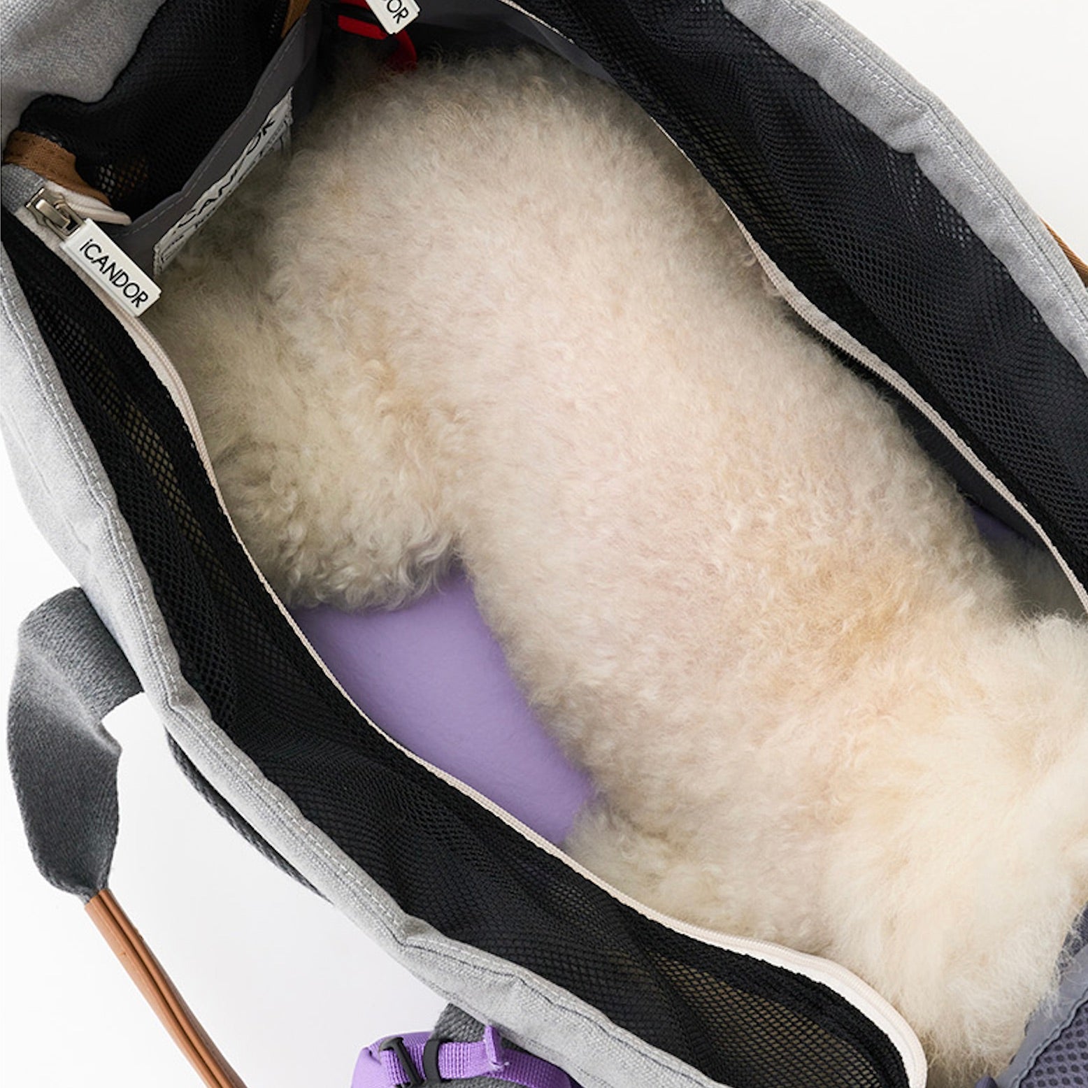 海外犬服 高品質なインポートのドッグウェア通販 