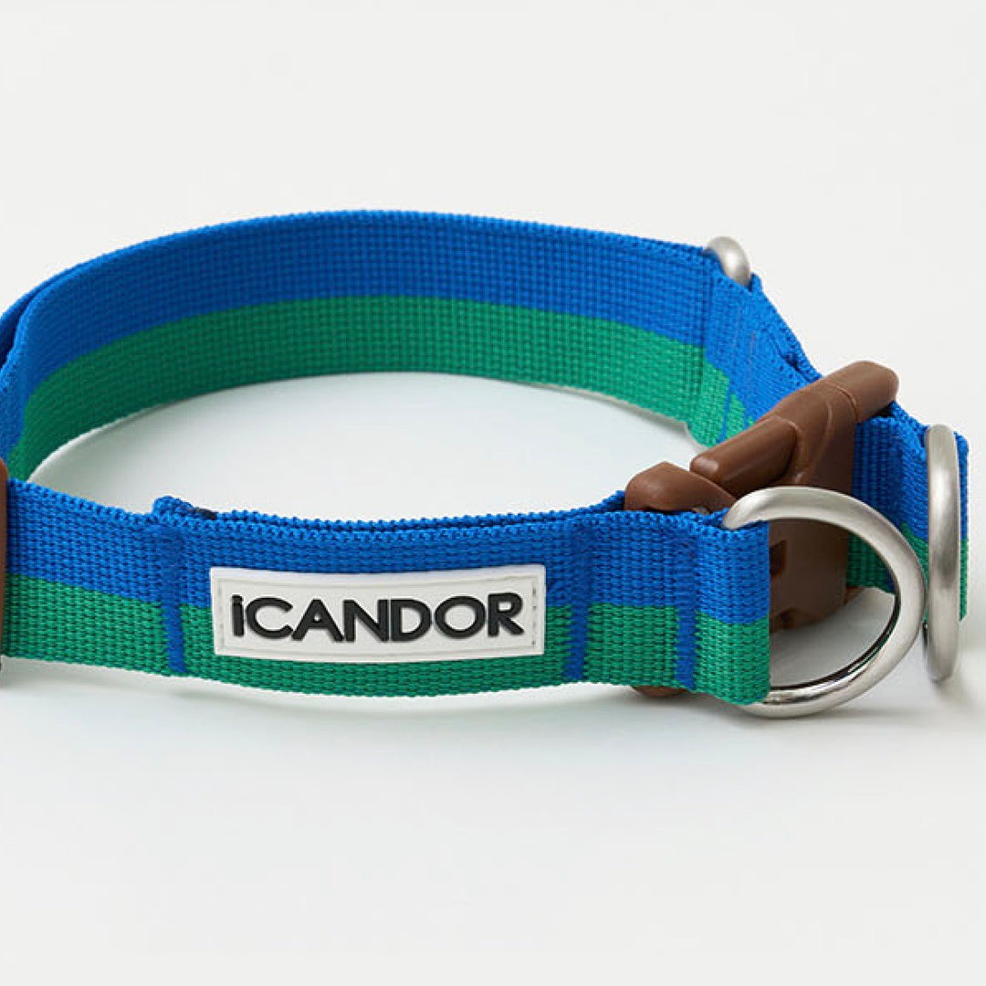 ※予約販売【iCANDOR】Gentle Collar Dual（FOREST）L