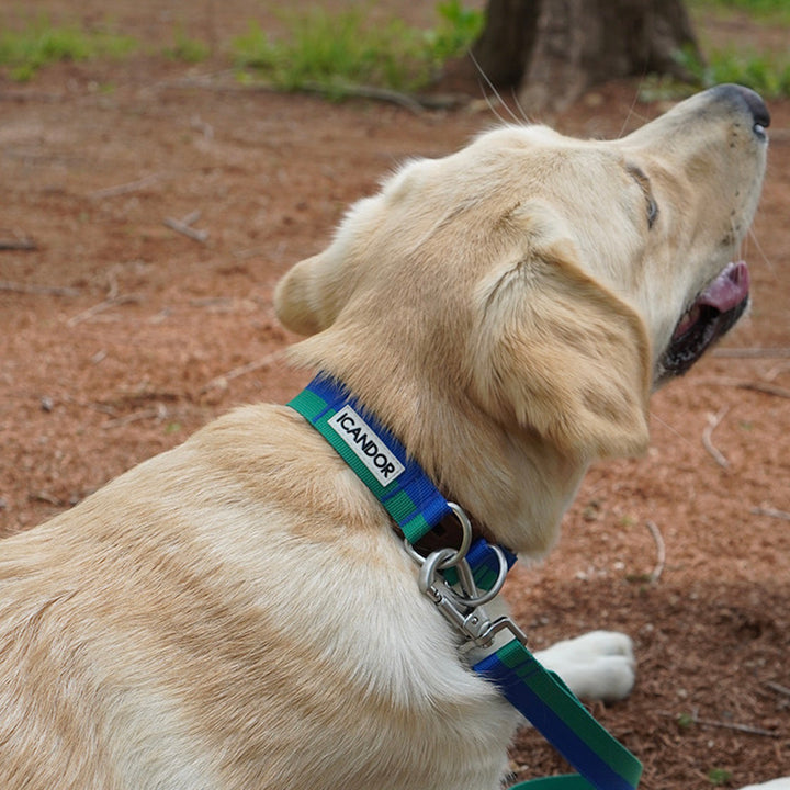 ※予約販売【iCANDOR】Gentle Collar Dual（FOREST）
