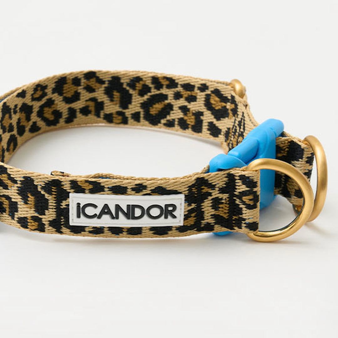 ※予約販売【iCANDOR】Gentle Collar Dual（LEOPARD）L
