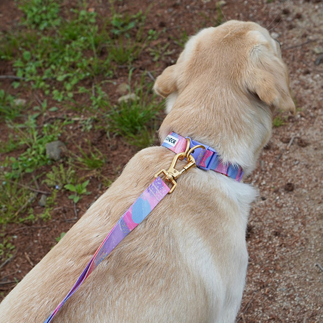 ※予約販売【iCANDOR】Gentle Collar Dual（MILKY WAY）