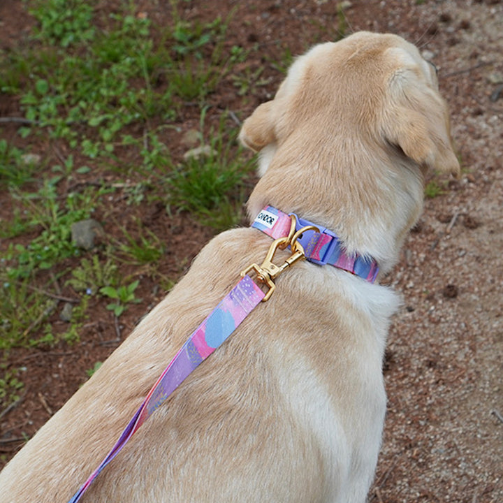 ※予約販売【iCANDOR】Gentle Collar Dual（MILKY WAY）