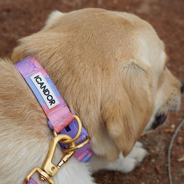 ※予約販売【iCANDOR】Gentle Collar Dual（MILKY WAY）