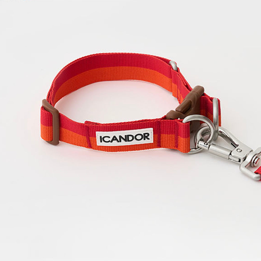 ※予約販売【iCANDOR】Gentle Collar Dual（SUNSET）L