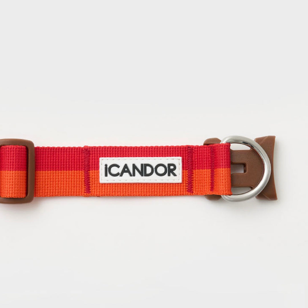 ※予約販売【iCANDOR】Gentle Collar Dual（SUNSET）L