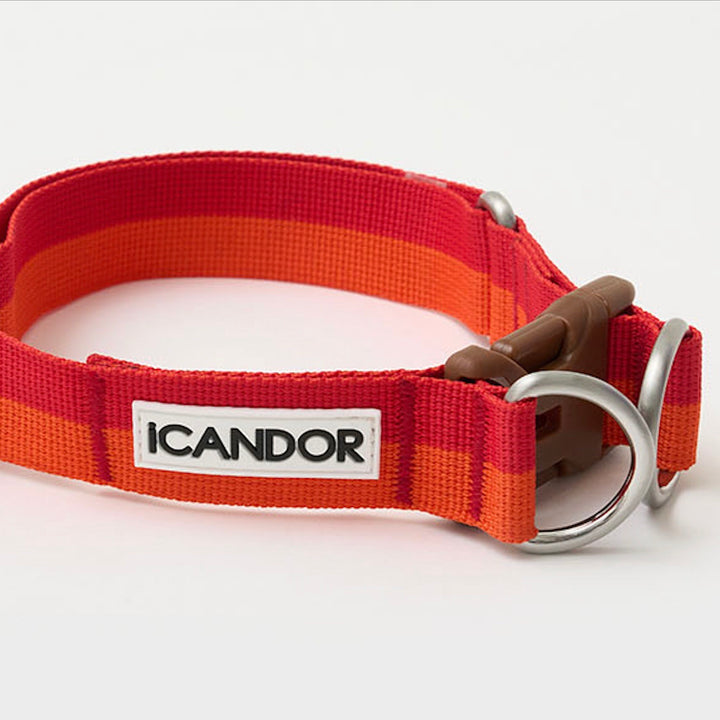 ※予約販売【iCANDOR】Gentle Collar Dual（SUNSET）L