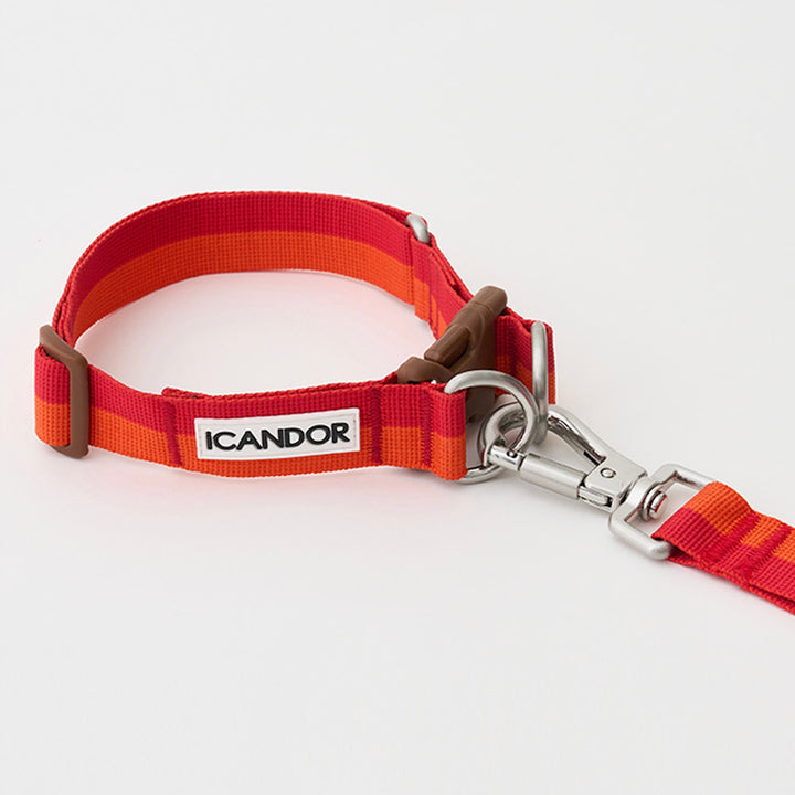 ※予約販売【iCANDOR】Gentle Collar Dual（SUNSET）L